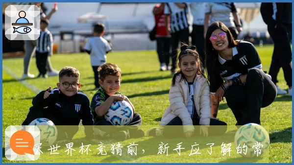 买世界杯竞猜前，新手应了解的常见陷阱与选择技巧
