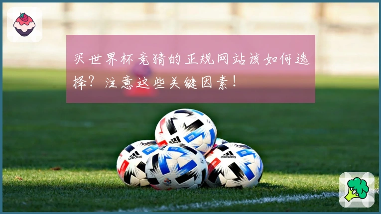 买世界杯竞猜的正规网站该如何选择？注意这些关键因素！