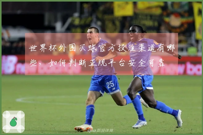 世界杯外围买球官方投注渠道有哪些，如何判断正规平台安全可靠