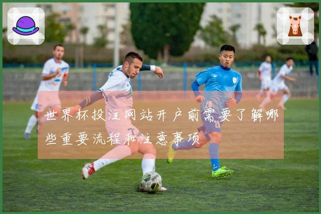 世界杯投注网站开户前需要了解哪些重要流程和注意事项