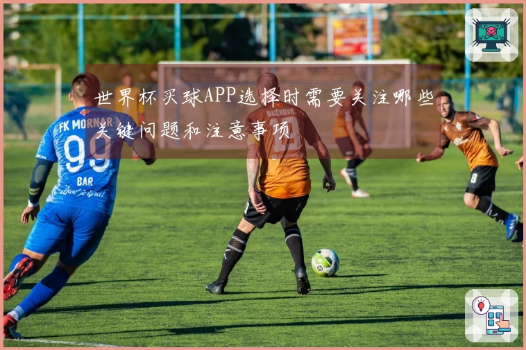 世界杯买球APP选择时需要关注哪些关键问题和注意事项