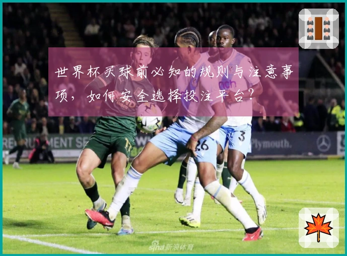 世界杯买球前必知的规则与注意事项，如何安全选择投注平台？