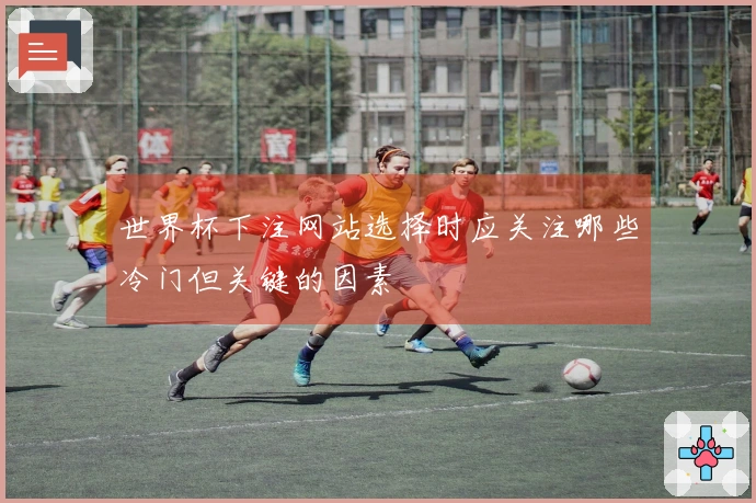 世界杯下注网站选择时应关注哪些冷门但关键的因素