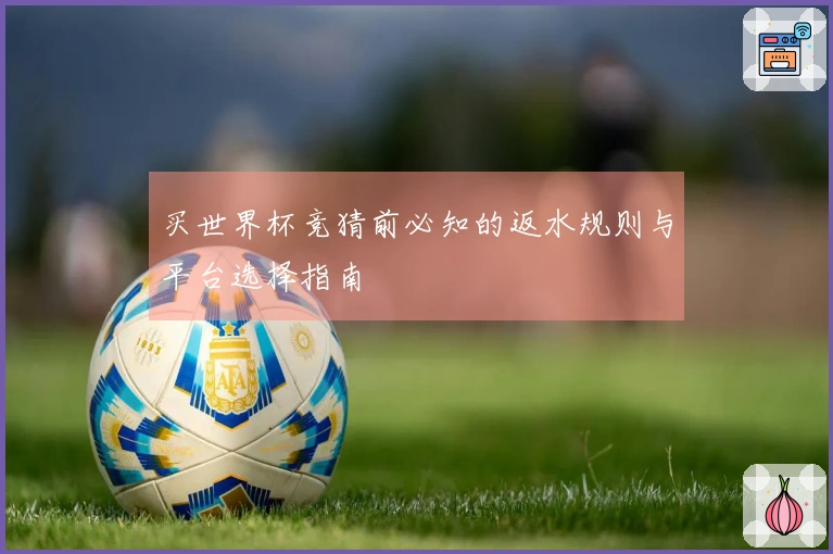 买世界杯竞猜前必知的返水规则与平台选择指南