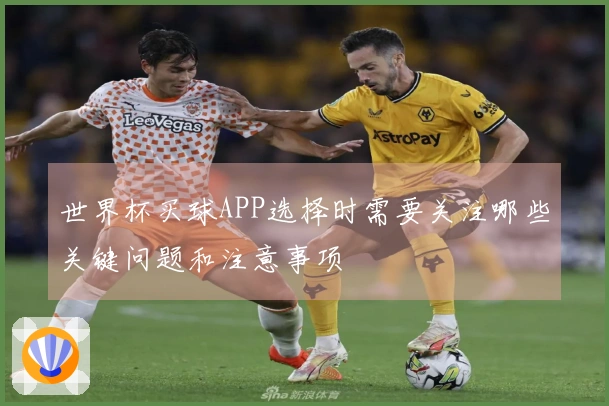 世界杯买球APP选择时需要关注哪些关键问题和注意事项