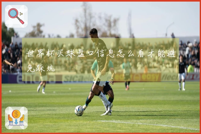 世界杯买球盘口信息怎么看才能避免踩坑
