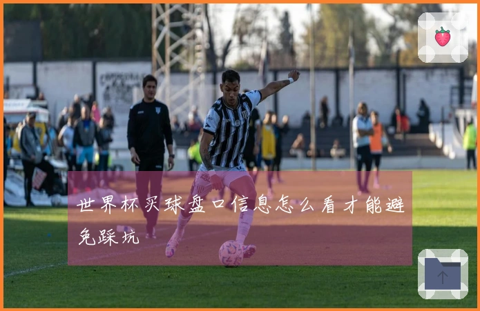 世界杯买球盘口信息怎么看才能避免踩坑