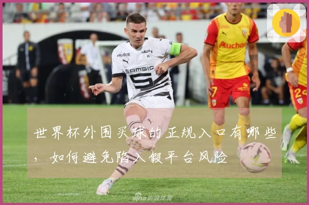 世界杯外围买球的正规入口有哪些，如何避免陷入假平台风险