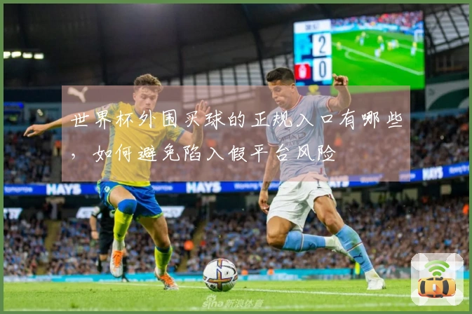 世界杯外围买球的正规入口有哪些，如何避免陷入假平台风险