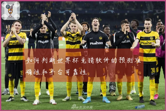 如何判断世界杯竞猜软件的预测准确性和平台可靠性