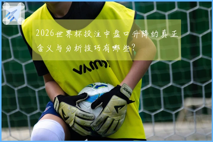 2026世界杯投注中盘口升降的真正含义与分析技巧有哪些？
