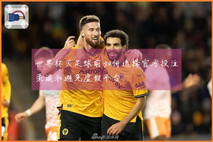 世界杯买足球前如何选择官方投注渠道和避免虚假平台