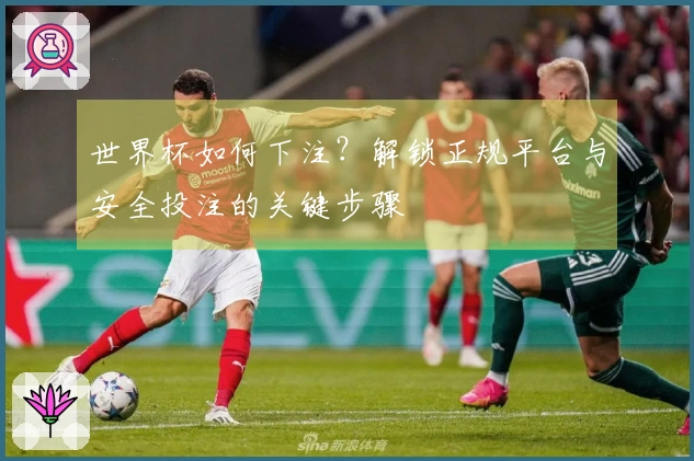 世界杯如何下注？解锁正规平台与安全投注的关键步骤