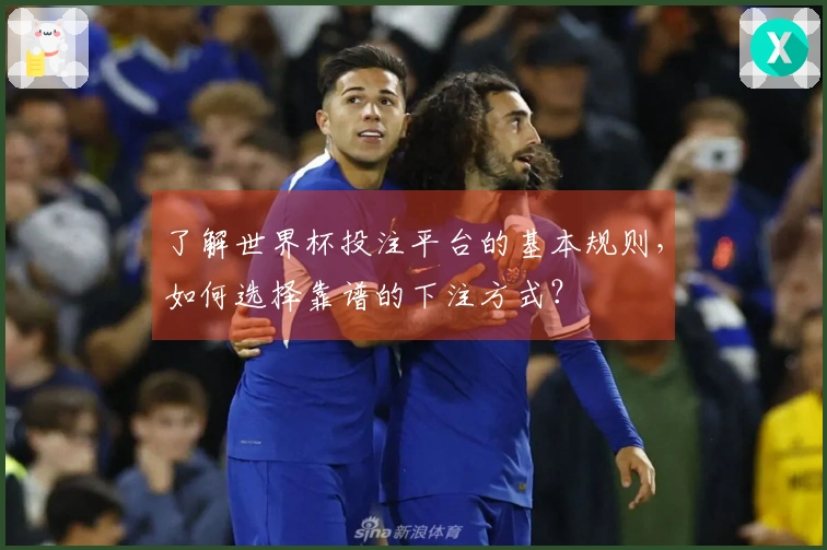 了解世界杯投注平台的基本规则，如何选择靠谱的下注方式？