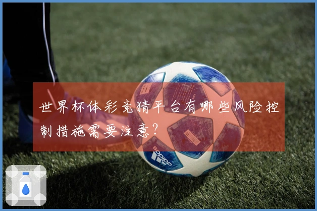 世界杯体彩竞猜平台有哪些风险控制措施需要注意？